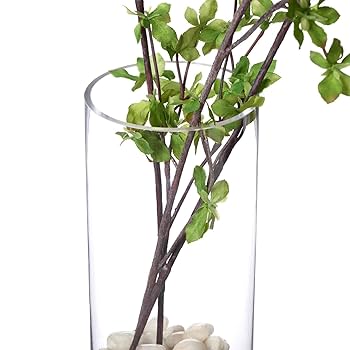 ドウダンツツジ 観葉植物 フェイクグリーン　◯グラス付き◯ ドウダンツツジの観葉植物 フェイクグリーン | 造花専門店プリマ